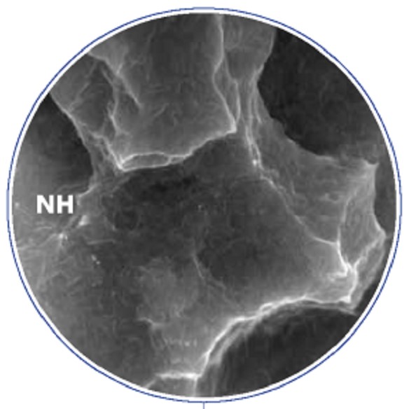 Basics of Dental Implant Surface Treatments Hiossen